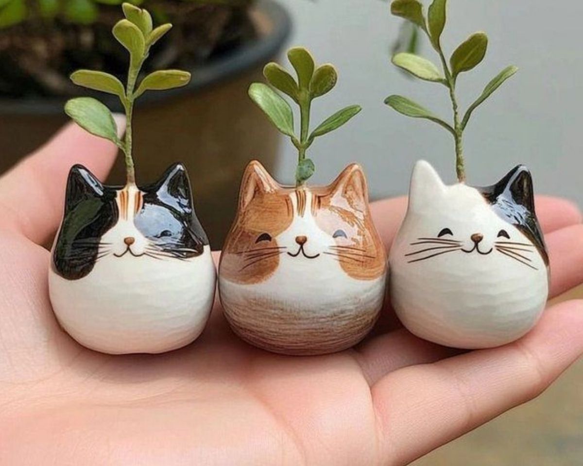 ¡Animaladas!