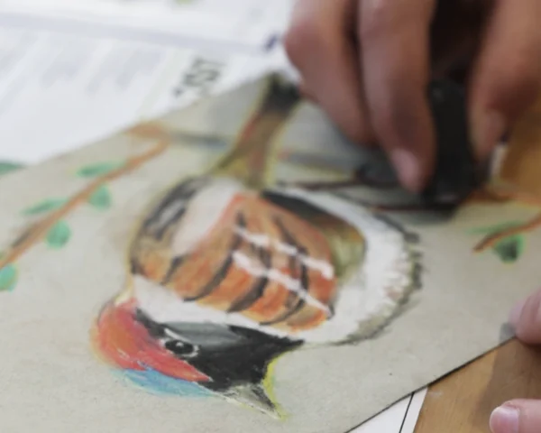 Curso Continuado de Creatividad Infantil